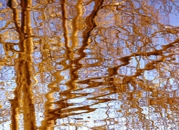 Reflection III